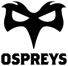 Ospreys crest
